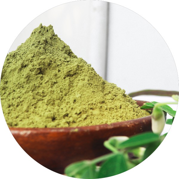 What We Can Do to Fix Moringa Powder That Is Not Mixing Well - Grenera Nutrients 1