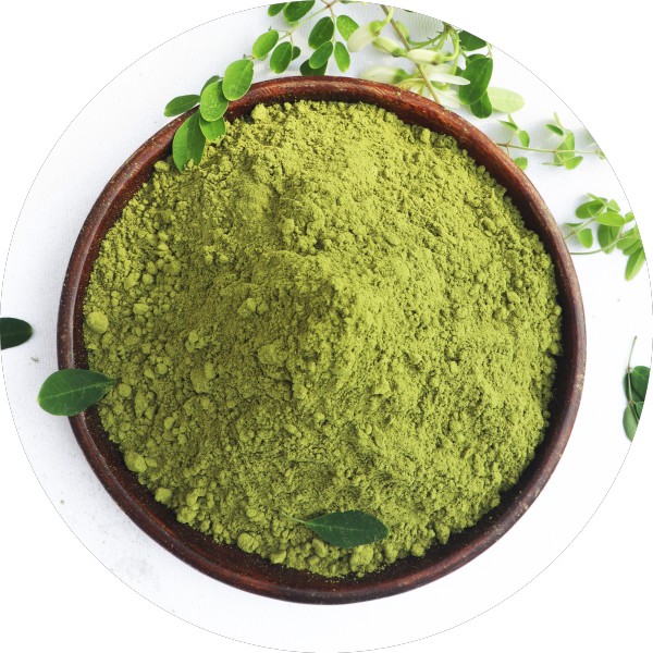What We Can Do to Fix Moringa Powder That Is Not Mixing Well - Grenera Nutrients