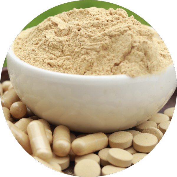 Why Amla Capsules and Tablets Are High Potential Products in B2B Trade - Grenera Nutrients