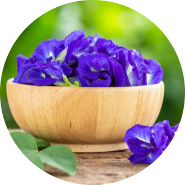 Bulk Supplier And Exporter Of Butterfly Pea Flowers - Grenera Nutrients