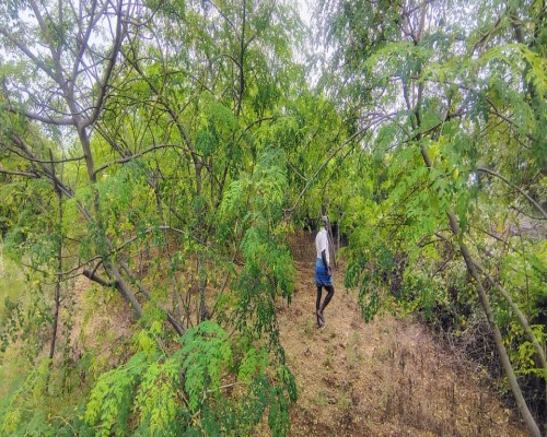 Natrajan kothumuttipalayam - Grenera farmer story 3