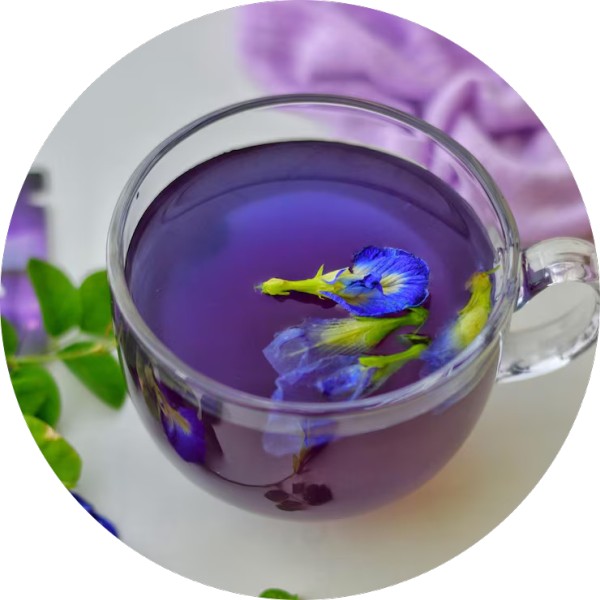 Top Benefits of Blue Pea Flower Tea - Grenera Nutrients 1