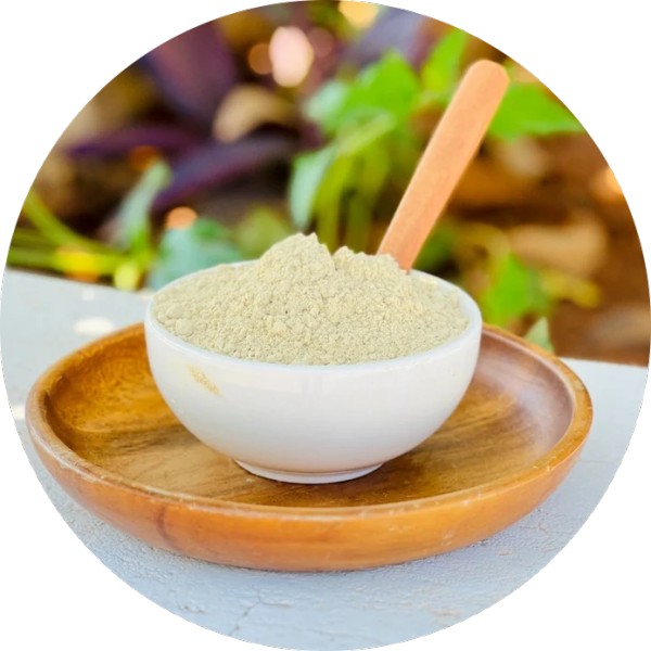 Bulk Supplier Of Amla Powder For Food Processing Industries - Grenera Nutrients