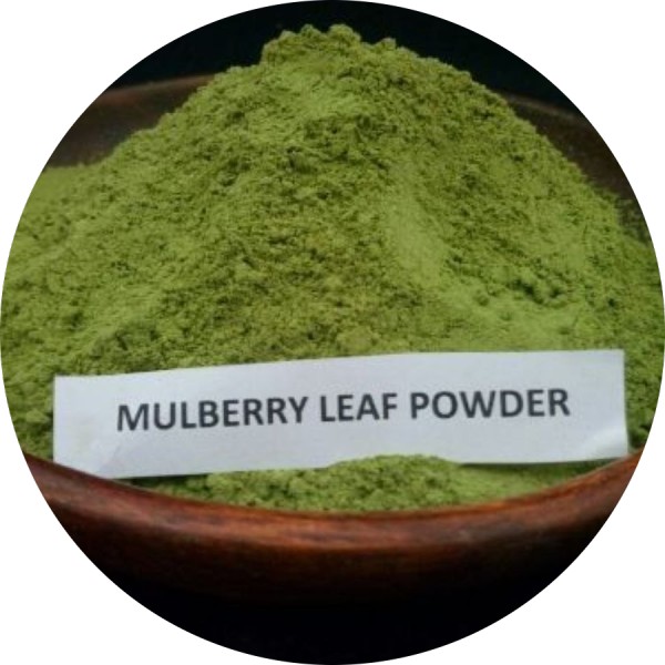 Bulk Supplier Of Mulberry Leaves Powder In India - Grenera Nutrients