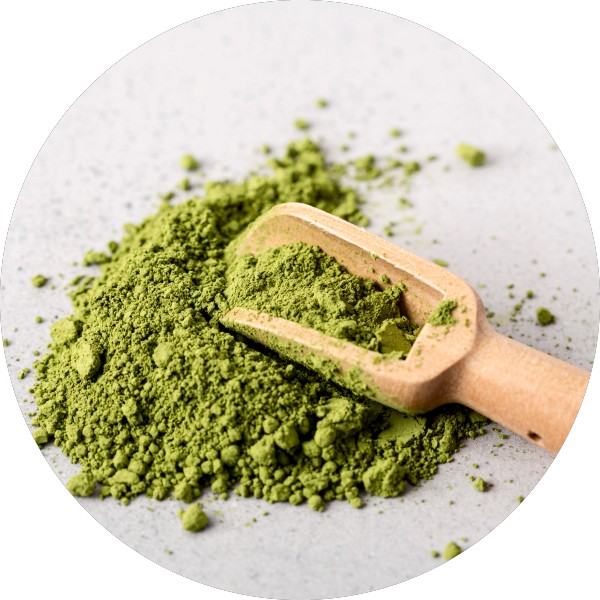 Organic Mulberry Leaves Powder Manufacturer In India - Grenera Nutrients 1