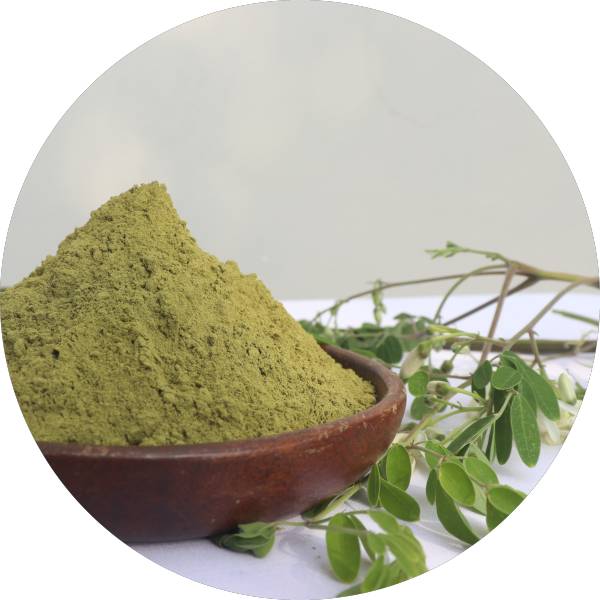 Organic Moringa Leaf Powder For Nutraceutical Companies - Grenera Nutrients