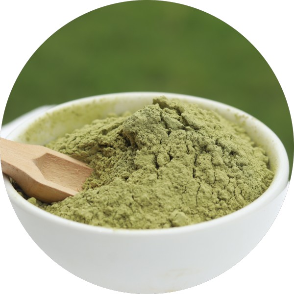 Sustainably Sourced Neem Leaves Powder Supplier - Grenera Nutrients 1