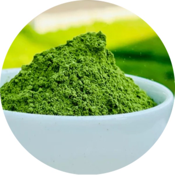 Sustainably Sourced Organic Moringa Leaf Powder Suppliers - Grenera Nutrients