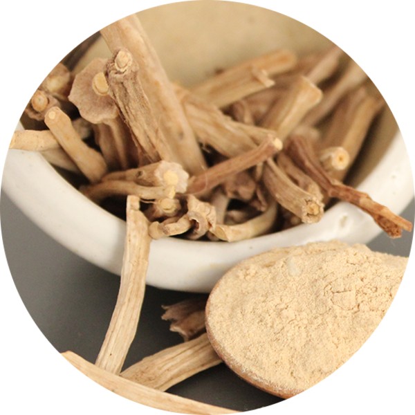 Sustainably Sourced Organic Shatavari Root Powder Suppliers - Grenera Nutrients