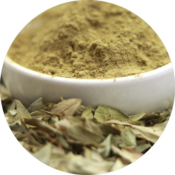 Sustainably Sourced Senna Powder Supplier - Grenera Nutrients 2