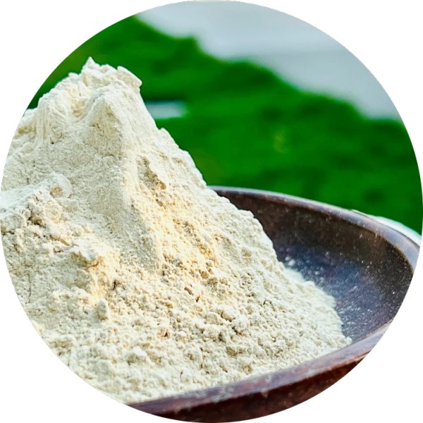 Organic Ashwagandha Root Powder For Nutraceutical Companies - grenera