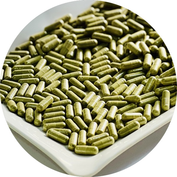 Private Label Moringa Capsules Manufacturer in India - Grenera Nutrients