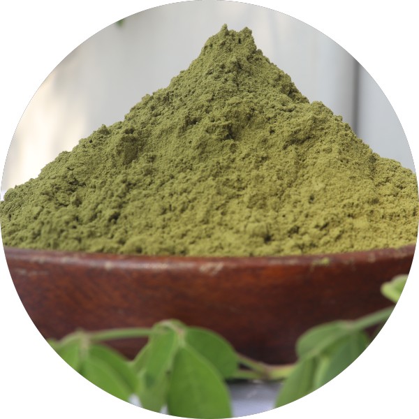 Private Label Moringa Leaf Supplier In Tamil Nadu - greneranutrients