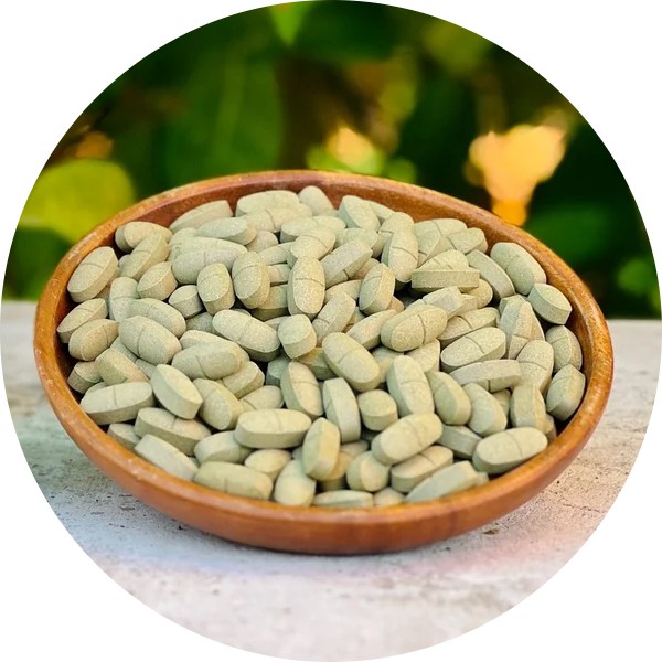 Private Label Moringa Tablets Manufacturer in India - Grenera Nutrients