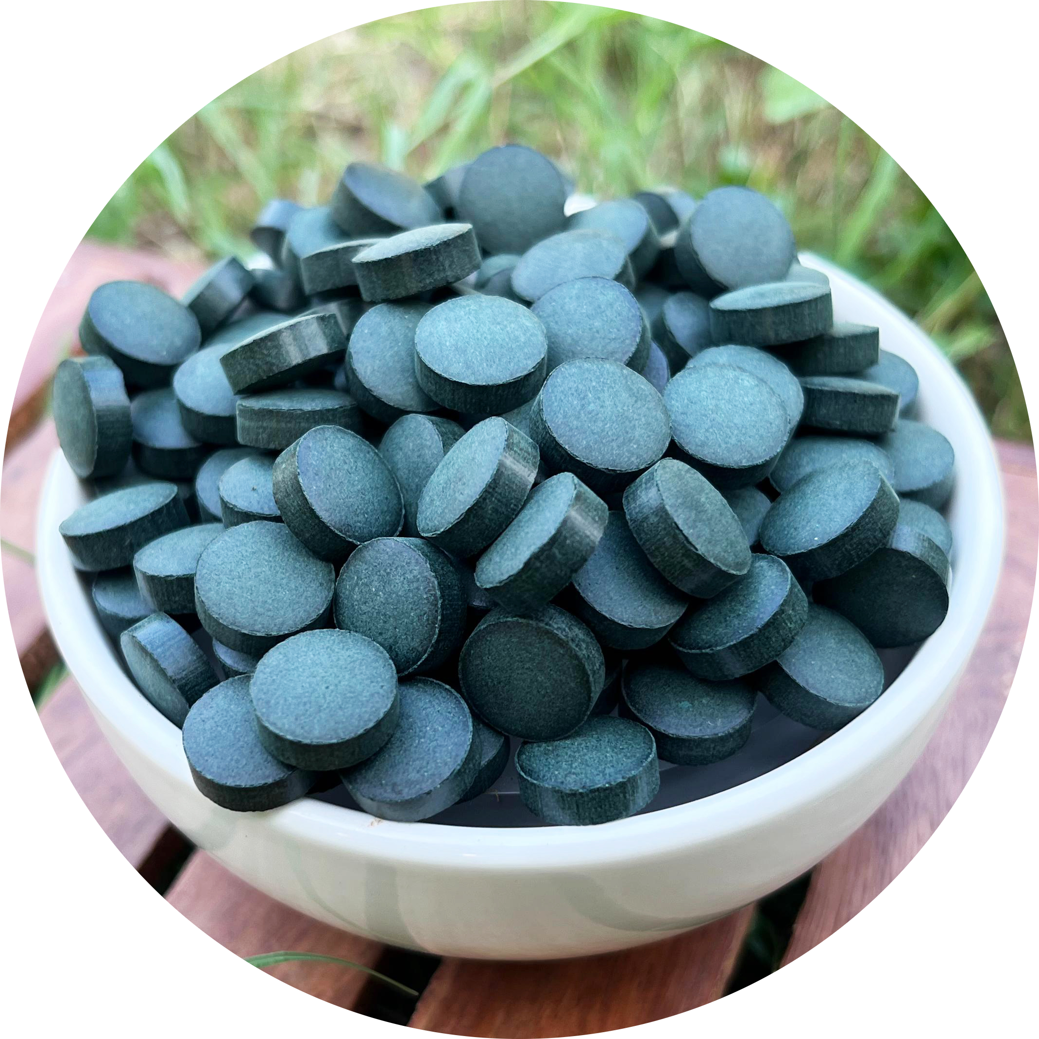 Bulk Spirulina Tablets Manufacturer In India - Grenera Nutrients