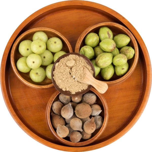 Bulk Triphala Powder Manufacturer in India - Grenera Nutrients
