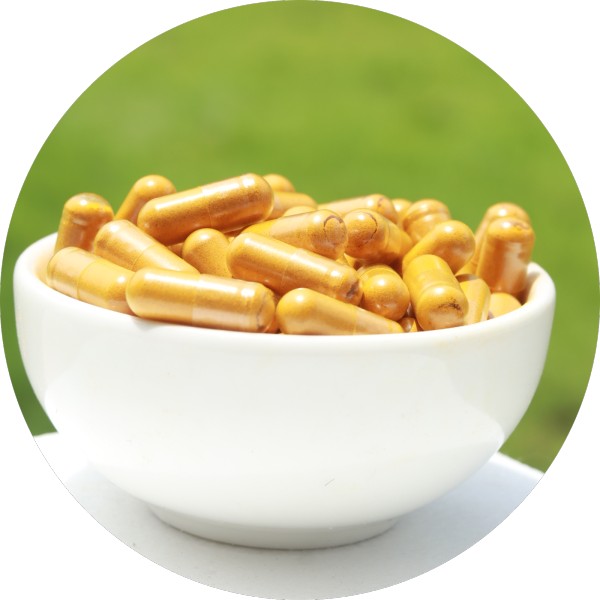 Bulk Turmeric Capsules Manufacturer In India - Grenera Nutrients