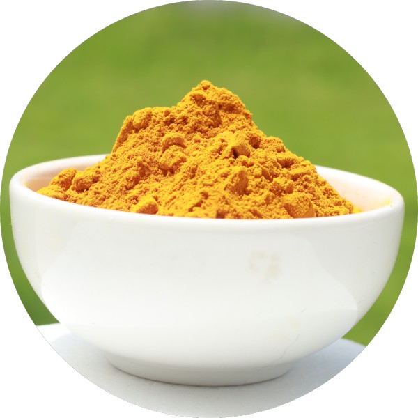 Bulk Turmeric Powder Manufacturer In India - Grenera Nutrients