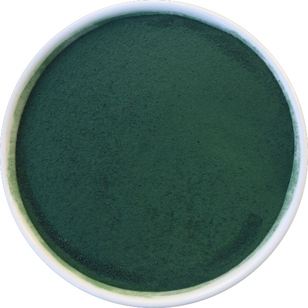 Spirulina Powder Manufacturer In India - Grenera Nutrients