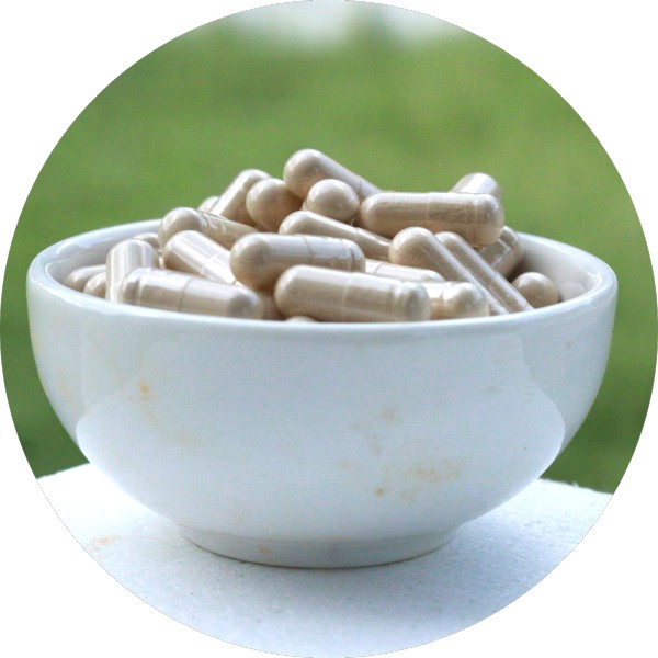 Bulk Amla Capsule Manufacturer In India - Grenera Nutrients