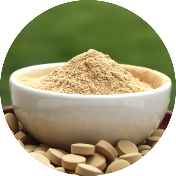 Bulk Amla Tablet Manufacturer In India