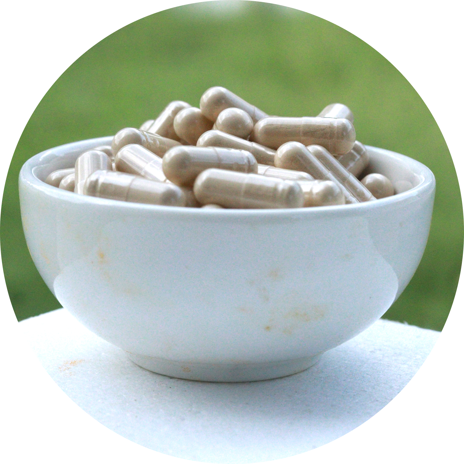 Bulk Ashwagandha Capsule Manufacturer In India