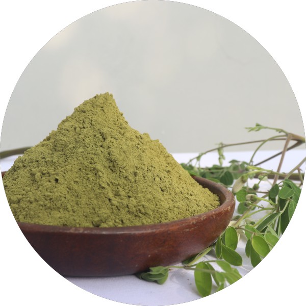 Bulk Moringa Powder Supplier In India - Grenera Nutrients
