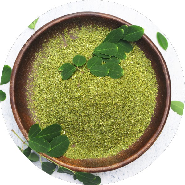 OEM Moringa TBC Manufacturer And Exporter In India