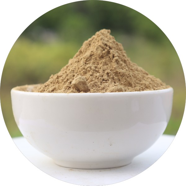 Bulk Organic Haritaki Powder Manufacturer And Supplier In India - Grenera Nutrients