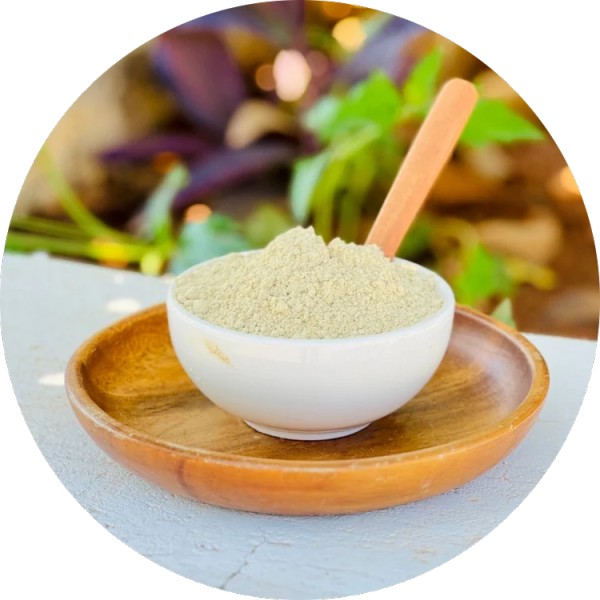 IPM Amla Powder Manufacturer And Supplier In India - Grenera Nutrients