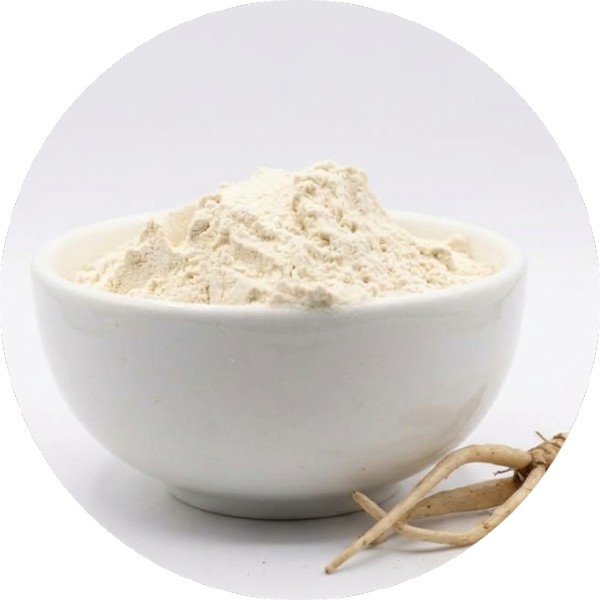 IPM Shatavari Powder Manufacturer And Supplier In India - Grenera Nutrients