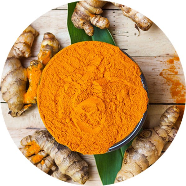 IPM Turmeric Powder Manufacturer and Supplier in India