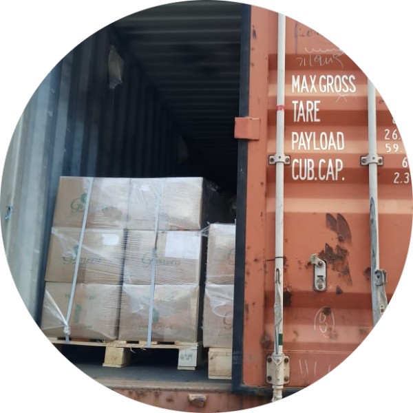 Organic Moringa Dried Leaves 14