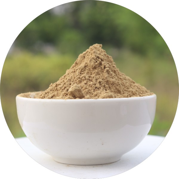 Organic Haritaki Powder Manufacturer and Bulk Supplier in India Organic Haritaki Powder Manufacturer and Bulk Supplier in India